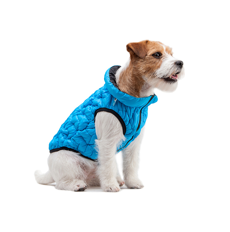 ¿Cómo saber la talla de ropa de mi perro?