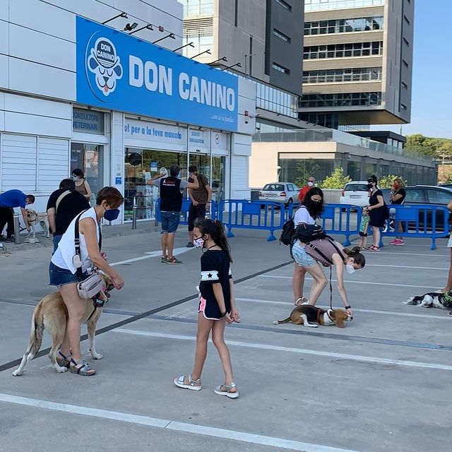 instagram-4